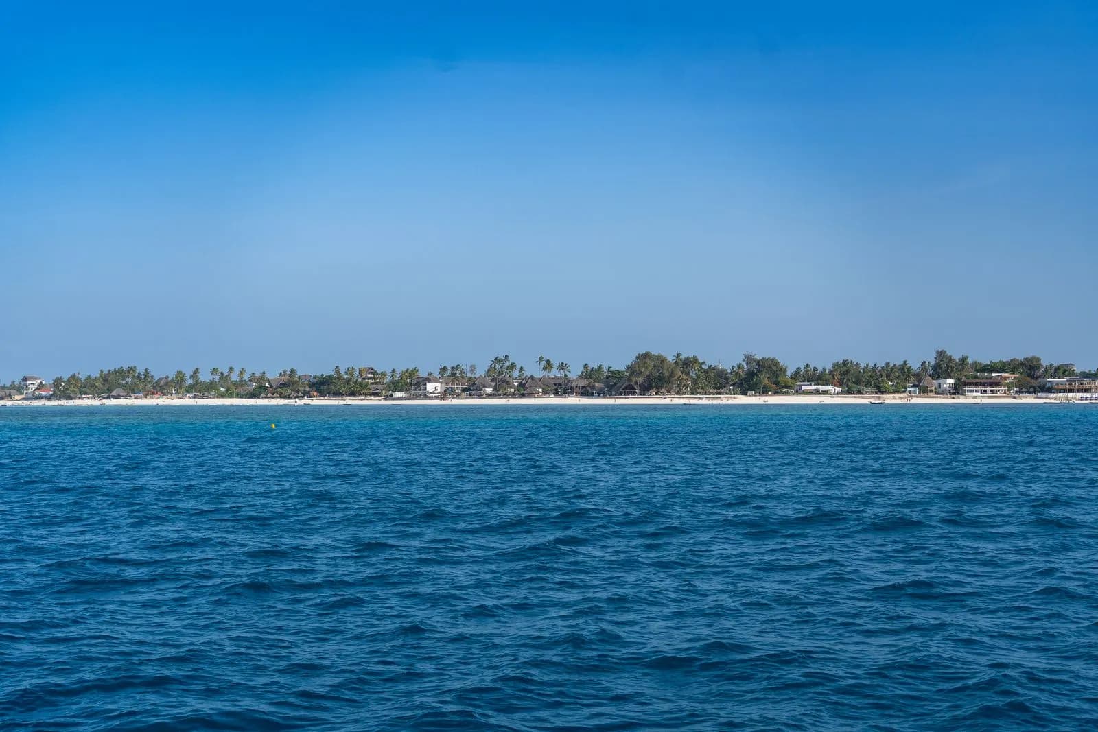 Palms leaning over white sand and turquoise water on the Zanzibar coast